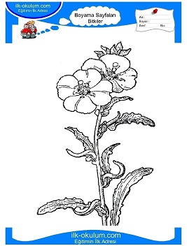 Çocuklar İçin Çiçek Boyama Sayfaları 